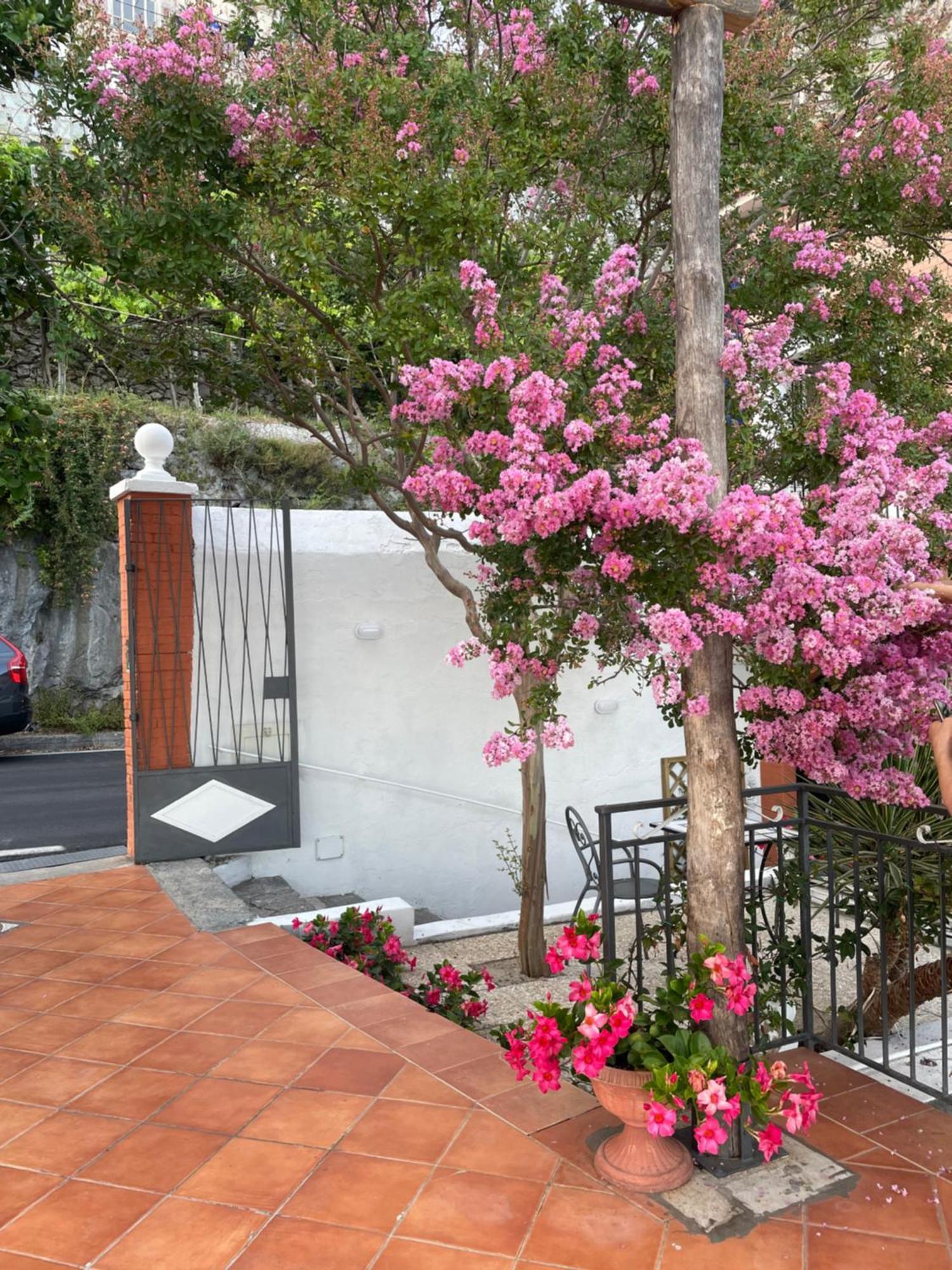 Villa Pino 弗洛里 外观 照片