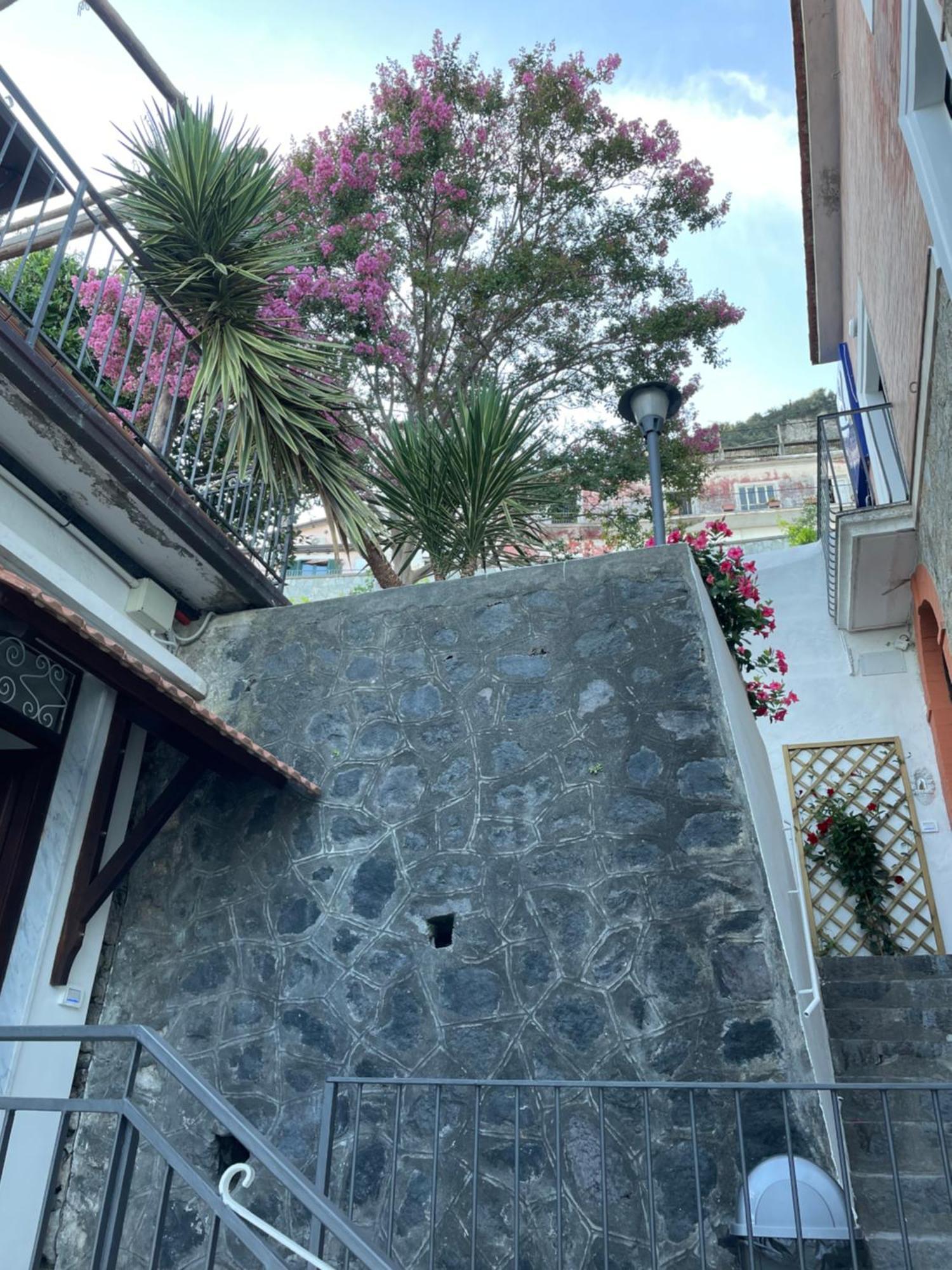Villa Pino 弗洛里 外观 照片