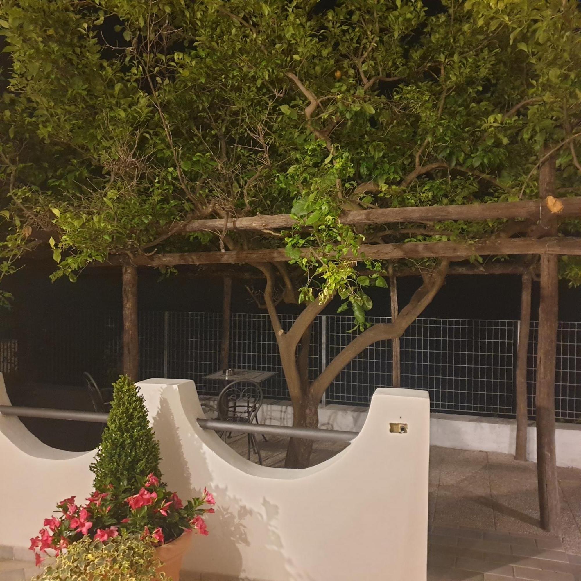 Villa Pino 弗洛里 外观 照片